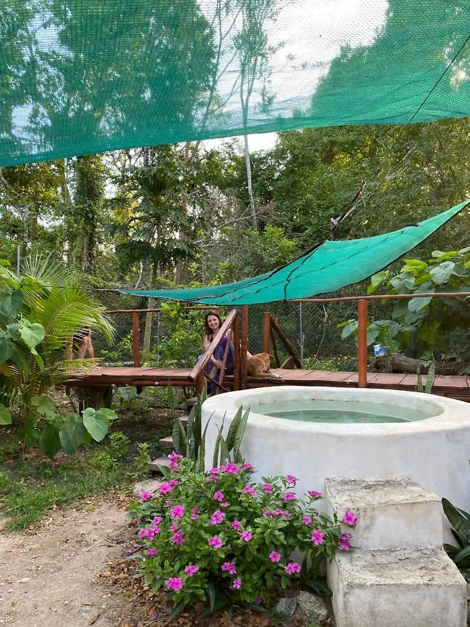 منزل للإقامة شقة Malinche Cafe In Coba Tulum المكسيك