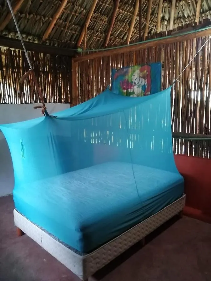 شقة Malinche Cafe In Coba Tulum 0*,  المكسيك