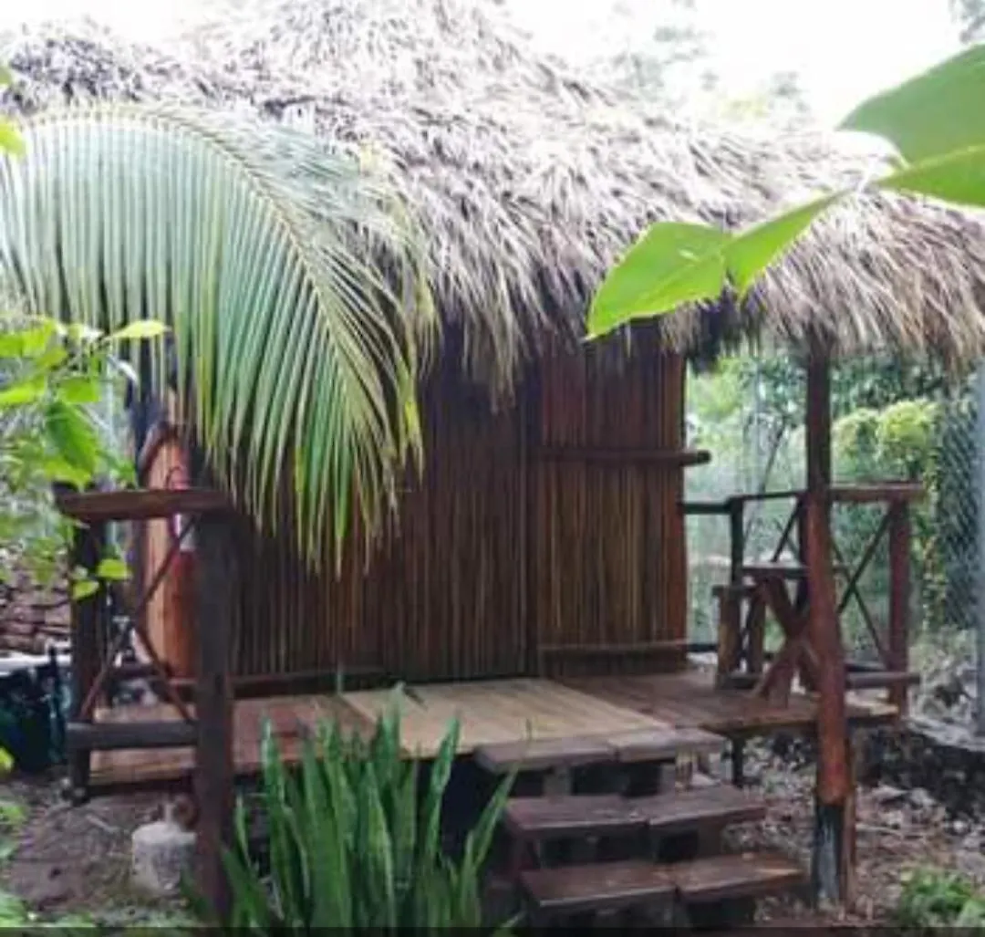 شقة Malinche Cafe In Coba Tulum منزل للإقامة